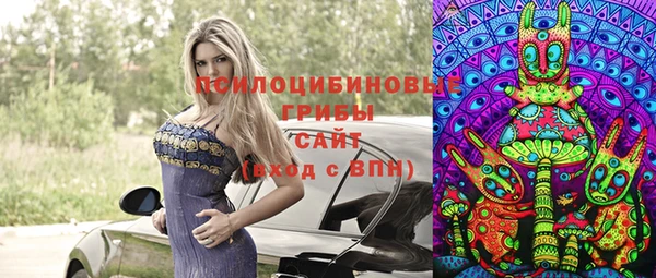 крисы Алзамай