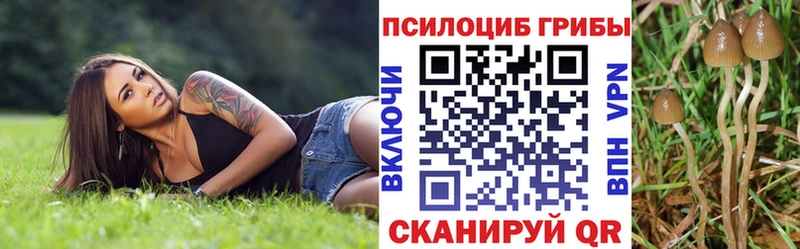 Псилоцибиновые грибы прущие грибы Нижнекамск